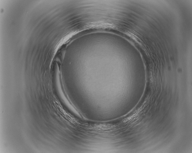 X0000058131022200510171331