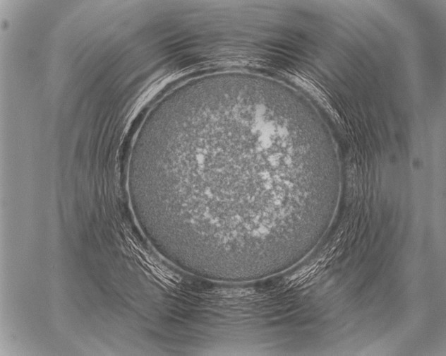 X0000058131023200510171331