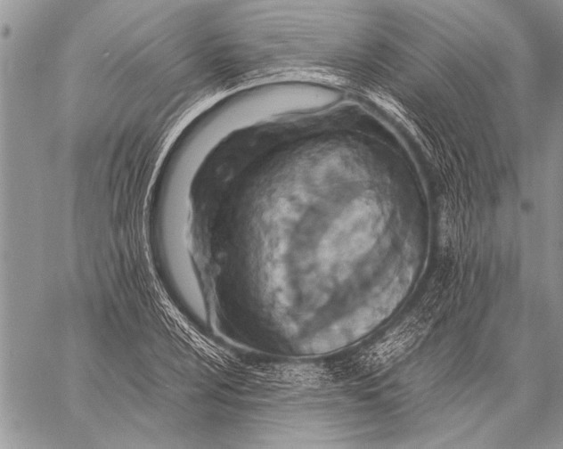 X0000058131024200510171331