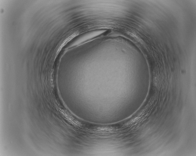 X0000058131026200510171331