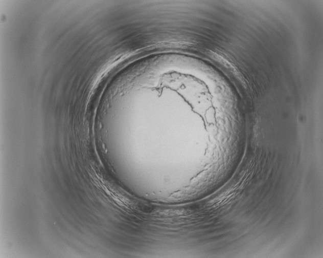 X0000058131027200510171331