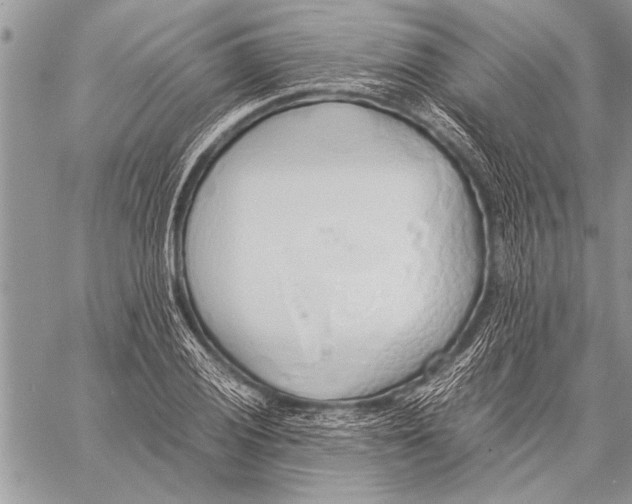 X0000058131028200510171331