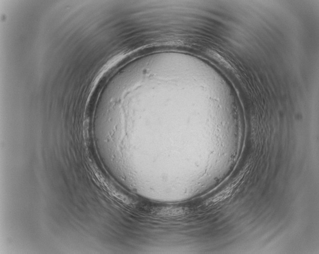 X0000058131029200510171331