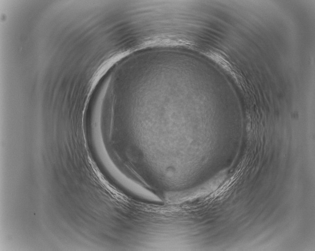 X0000058131030200510171331