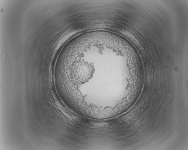 X0000058131031200510171331