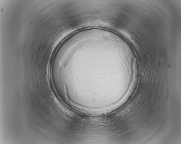 X0000058131032200510171331