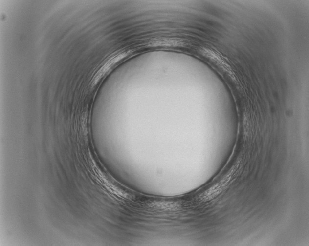 X0000058131033200510171331