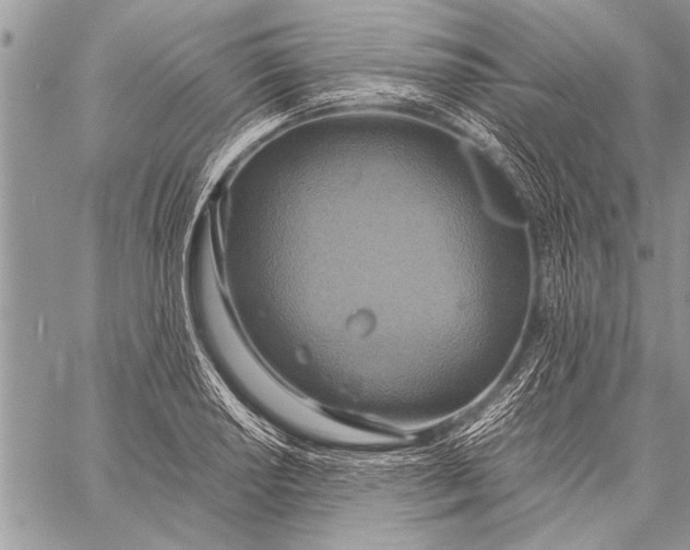 X0000058131034200510171331