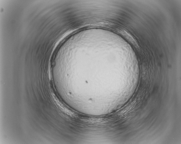 X0000058131036200510171331