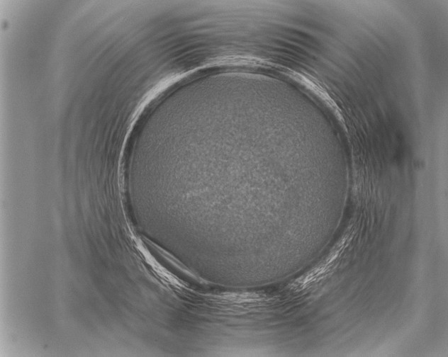 X0000058131037200510171331