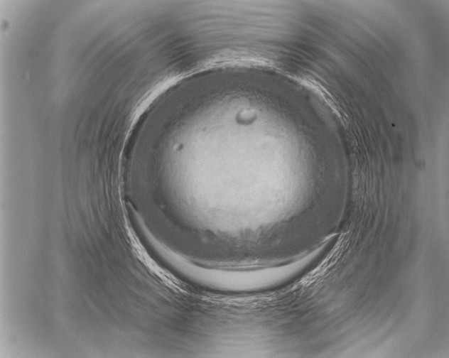 X0000058131038200510171331