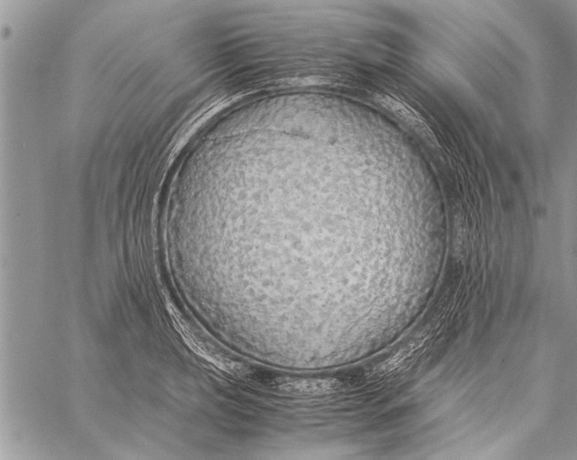 X0000058131039200510171331