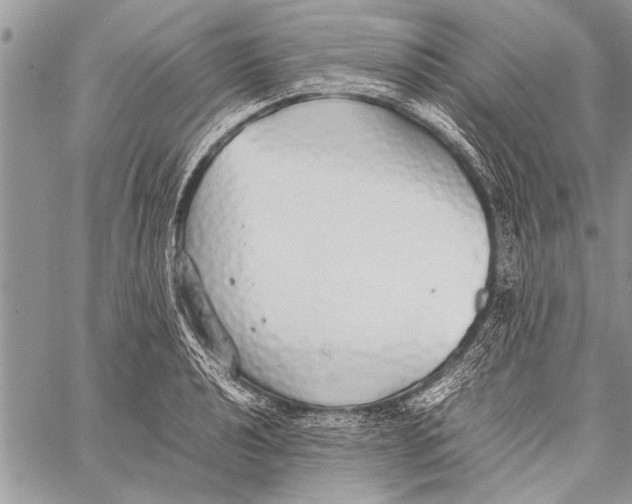 X0000058131040200510171331