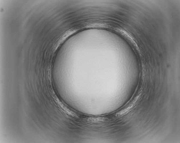 X0000058131041200510171331