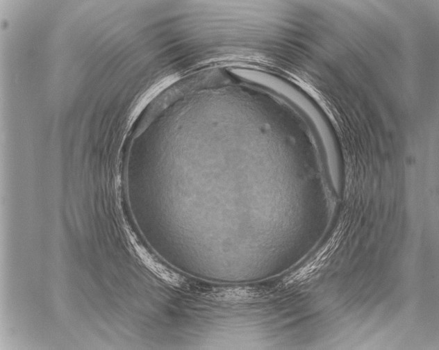 X0000058131042200510171331