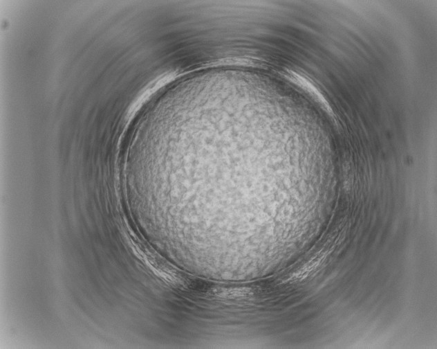 X0000058131043200510171331