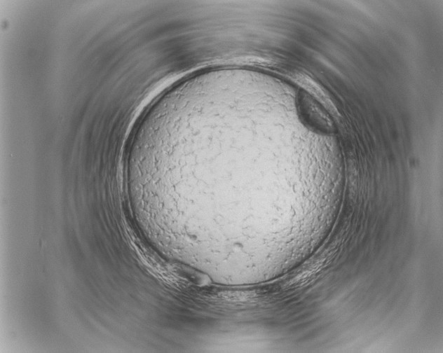 X0000058131044200510171331