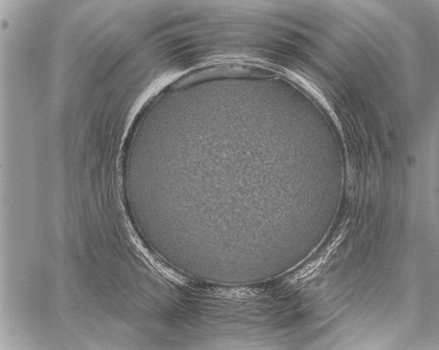 X0000058131045200510171331