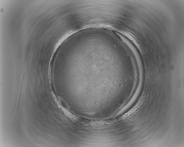 X0000058131046200510171331