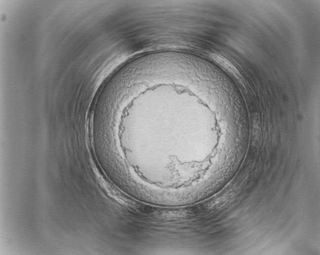 X0000058131047200510171331