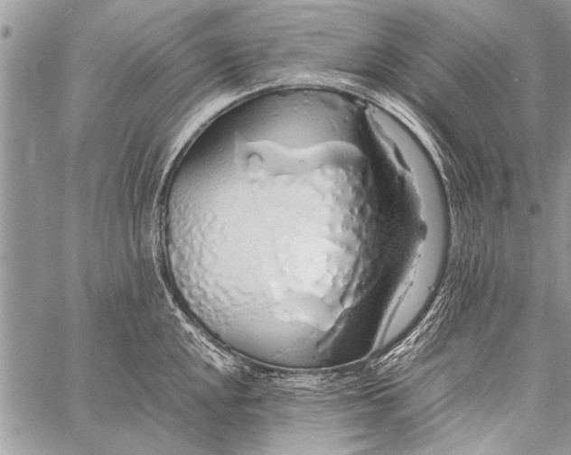 X0000058131048200510171331