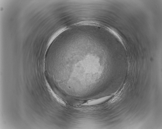 X0000058131050200510171331