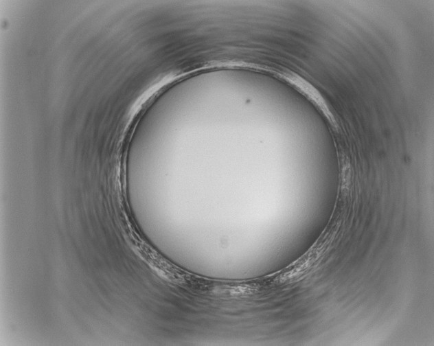 X0000058131051200510171331