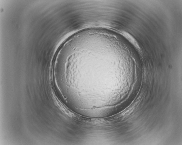 X0000058131052200510171331