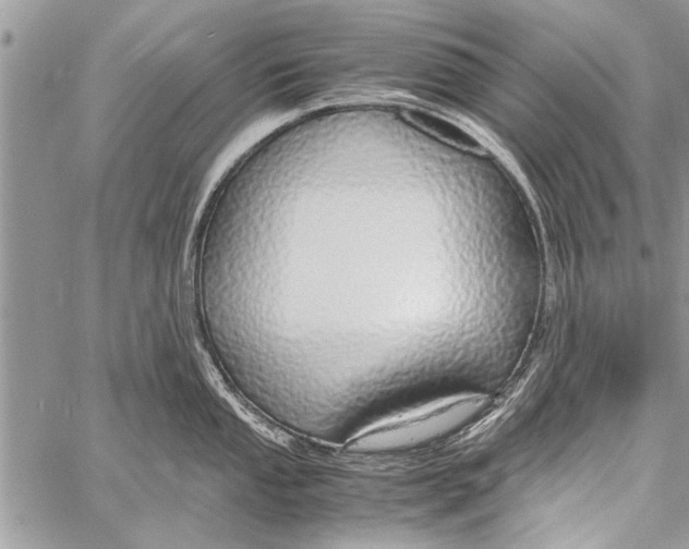 X0000058131053200510171331