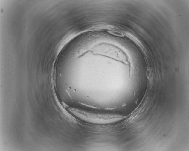 X0000058131055200510171331