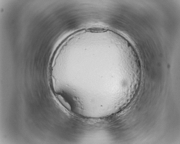 X0000058131056200510171331