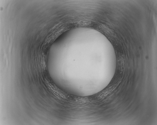 X0000058131058200510171330