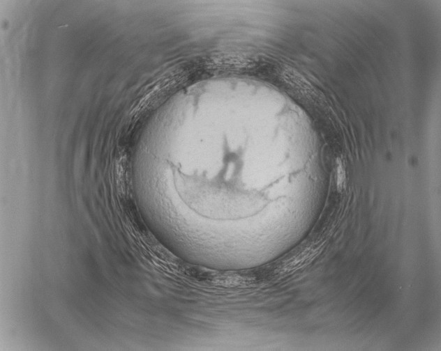 X0000058131059200510171330