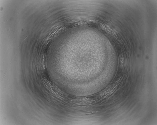 X0000058131060200510171330