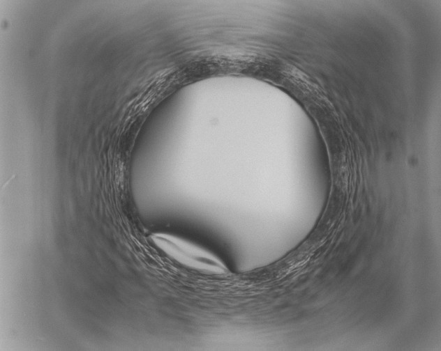 X0000058131061200510171330