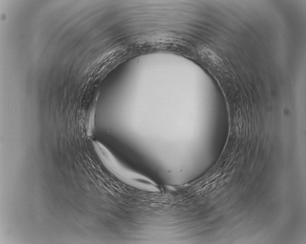 X0000058131062200510171330