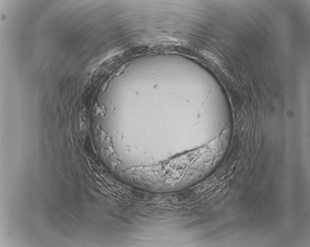 X0000058131063200510171330