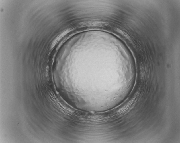 X0000058131066200510171330