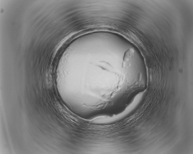 X0000058131068200510171330