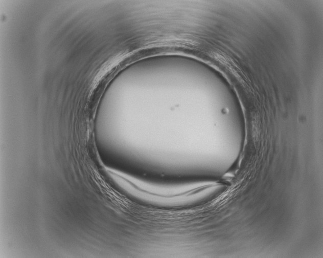 X0000058131069200510171330