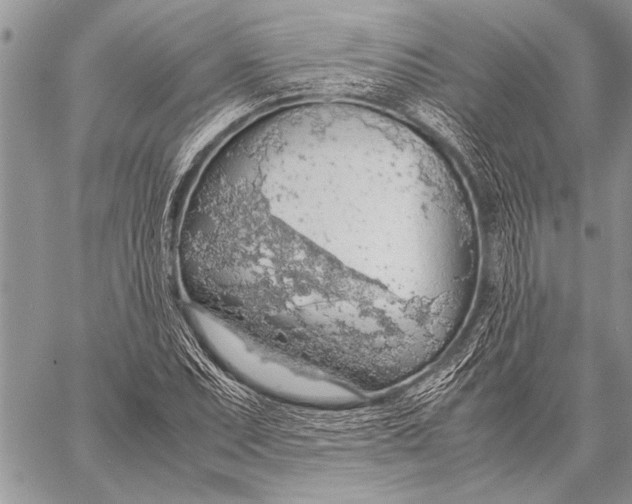 X0000058131071200510171330