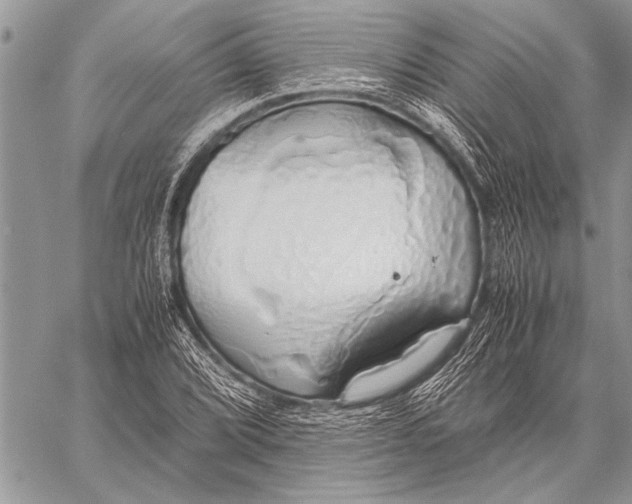 X0000058131072200510171330