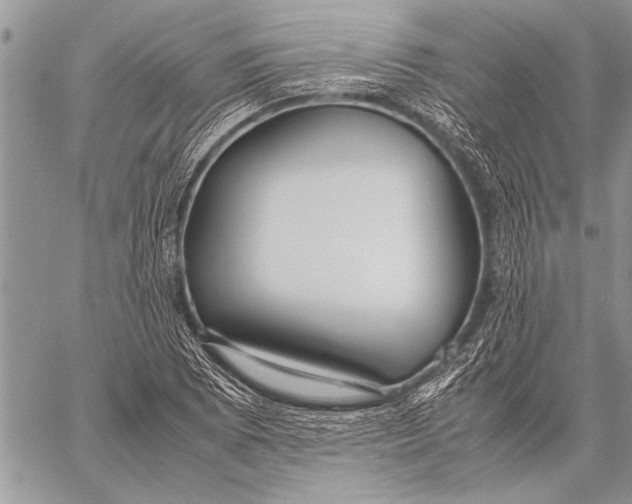 X0000058131073200510171330