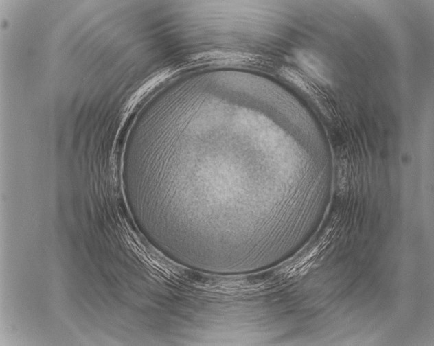 X0000058131074200510171330