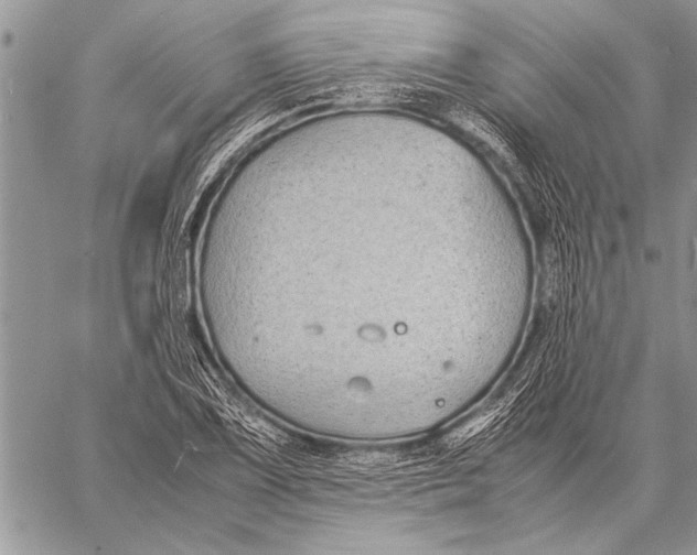 X0000058131075200510171330