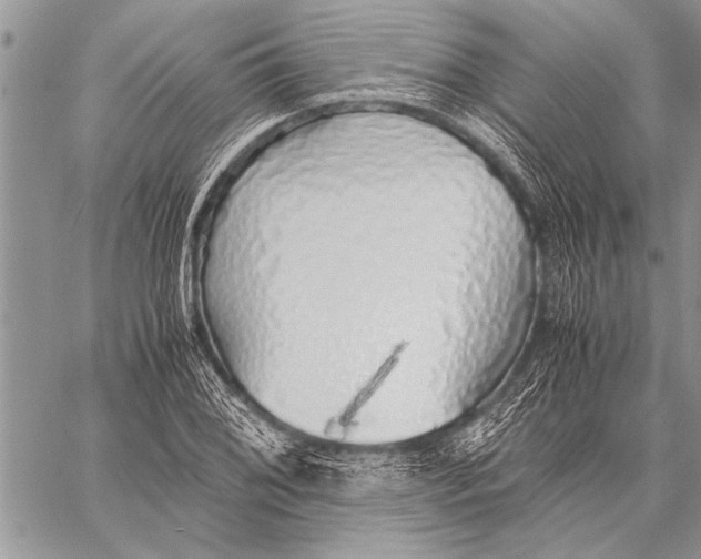 X0000058131076200510171330