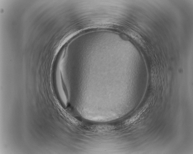 X0000058131077200510171330