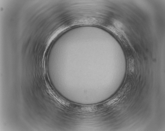 X0000058131078200510171330