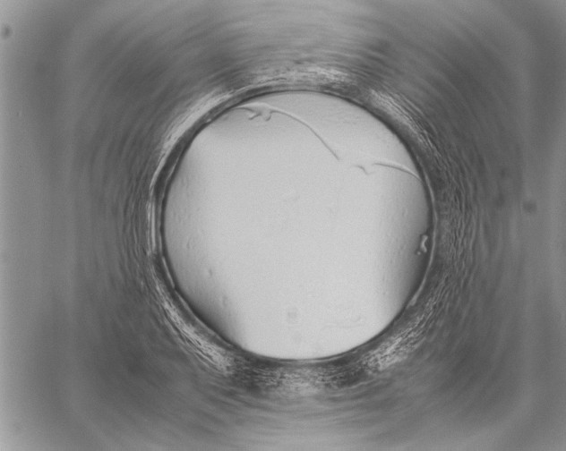 X0000058131079200510171330