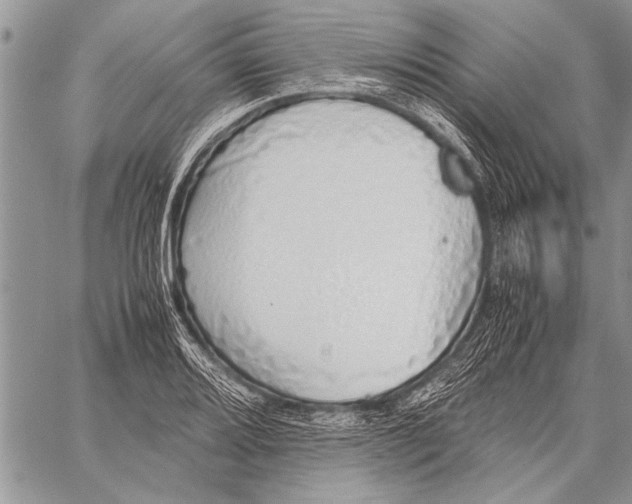 X0000058131080200510171330